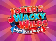 iWild Casino screenshot